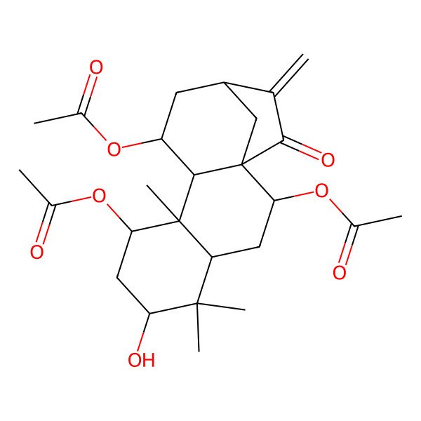 2D Structure of (2,8-Diacetyloxy-6-hydroxy-5,5,9-trimethyl-14-methylidene-15-oxo-11-tetracyclo[11.2.1.01,10.04,9]hexadecanyl) acetate