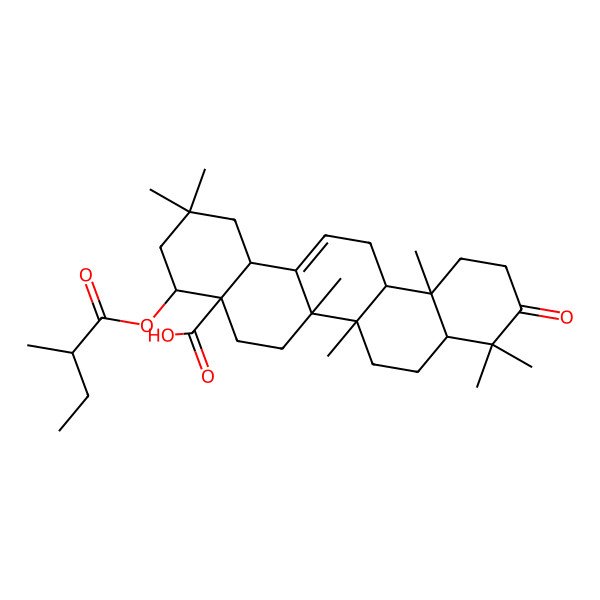 2D Structure of 2,2,6a,6b,9,9,12a-heptamethyl-4-(2-methylbutanoyloxy)-10-oxo-3,4,5,6,6a,7,8,8a,11,12,13,14b-dodecahydro-1H-picene-4a-carboxylic acid 2D Structure of 2,2,6a,6b,9,9,12a-heptamethyl-4-(2-methylbutanoyloxy)-10-oxo-3,4,5,6,6a,7,8,8a,11,12,13,14b-dodecahydro-1H-picene-4a-carboxylic acid