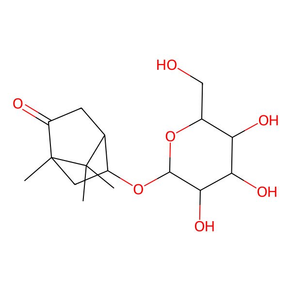 2D Structure of (1R,4R,5R)-1,7,7-trimethyl-5-[(2R,3R,4S,5S,6R)-3,4,5-trihydroxy-6-(hydroxymethyl)oxan-2-yl]oxybicyclo[2.2.1]heptan-2-one