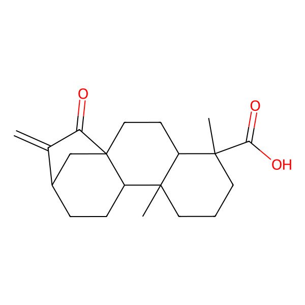 2D Structure of (1R,4S,5S,9S,10R,13R)-5,9-dimethyl-14-methylidene-15-oxotetracyclo[11.2.1.01,10.04,9]hexadecane-5-carboxylic acid