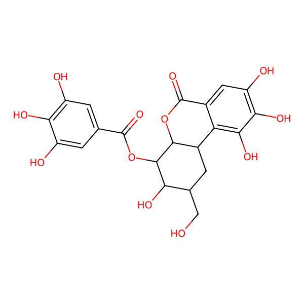 2D Structure of [(2S,3S,4R,4aR,10bR)-3,8,9,10-tetrahydroxy-2-(hydroxymethyl)-6-oxo-1,2,3,4,4a,10b-hexahydrobenzo[c]chromen-4-yl] 3,4,5-trihydroxybenzoate