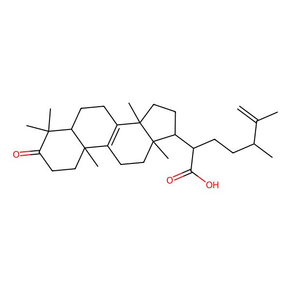 2D Structure of (2R,5S)-5,6-dimethyl-2-[(5R,10S,13R,14R,17R)-4,4,10,13,14-pentamethyl-3-oxo-1,2,5,6,7,11,12,15,16,17-decahydrocyclopenta[a]phenanthren-17-yl]hept-6-enoic acid