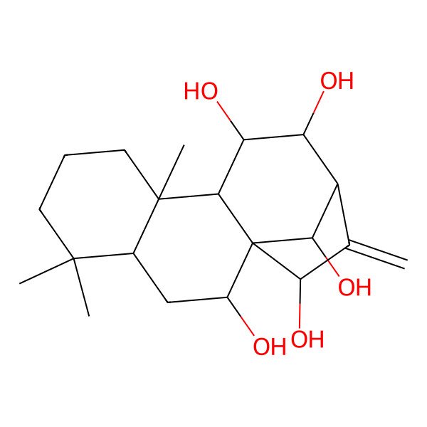 2D Structure of (1R,2R,4R,9R,10S,11R,12R,13S,15R,16R)-5,5,9-trimethyl-14-methylidenetetracyclo[11.2.1.01,10.04,9]hexadecane-2,11,12,15,16-pentol