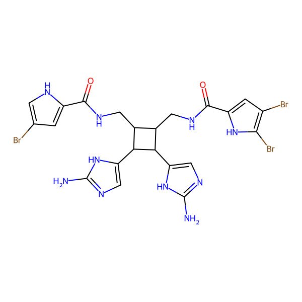 2D Structure of N-[[(1R,2S,3S,4R)-2,3-bis(2-amino-1H-imidazol-5-yl)-4-[[(4-bromo-1H-pyrrole-2-carbonyl)amino]methyl]cyclobutyl]methyl]-4,5-dibromo-1H-pyrrole-2-carboxamide