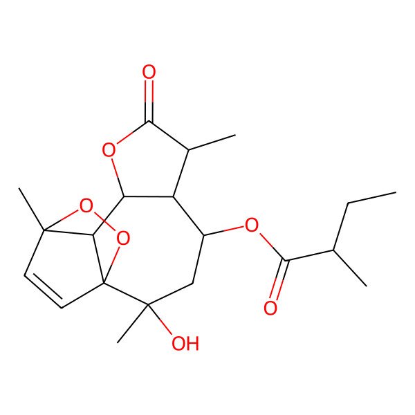 2D Structure of [(1S,2R,4S,5R,6S,9S,10S,11R)-2-hydroxy-2,6,11-trimethyl-7-oxo-8,12,13-trioxatetracyclo[9.2.2.01,10.05,9]pentadec-14-en-4-yl] 2-methylbutanoate