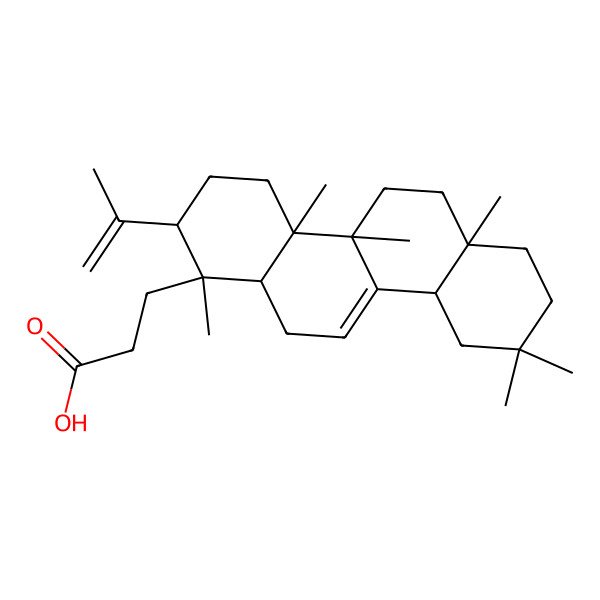 2D Structure of 3-[(1S,2S,4aR,4bS,6aR,10aR,12aR)-1,4a,4b,6a,9,9-hexamethyl-2-prop-1-en-2-yl-3,4,5,6,7,8,10,10a,12,12a-decahydro-2H-chrysen-1-yl]propanoic acid