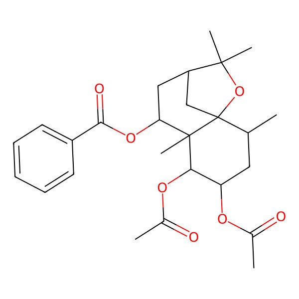 2D Structure of [(1S,2R,4S,5R,6R,7S,9R)-4,5-diacetyloxy-2,6,10,10-tetramethyl-11-oxatricyclo[7.2.1.01,6]dodecan-7-yl] benzoate