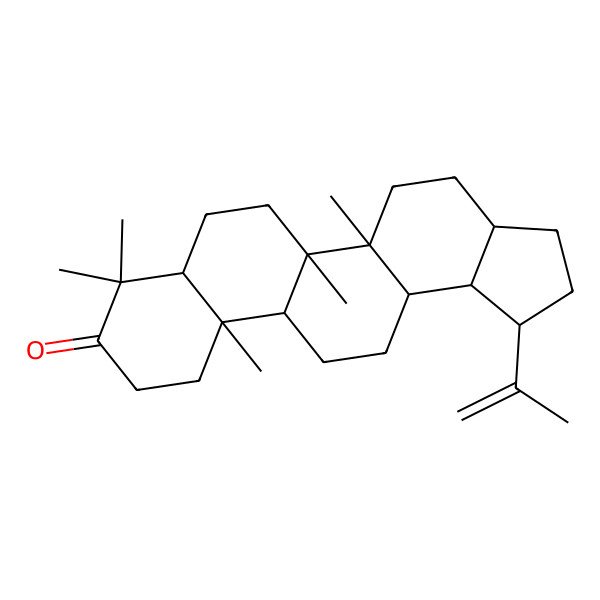 2D Structure of 5a,5b,8,8,11a-Pentamethyl-1-prop-1-en-2-yl-1,2,3,3a,4,5,6,7,7a,10,11,11b,12,13,13a,13b-hexadecahydrocyclopenta[a]chrysen-9-one