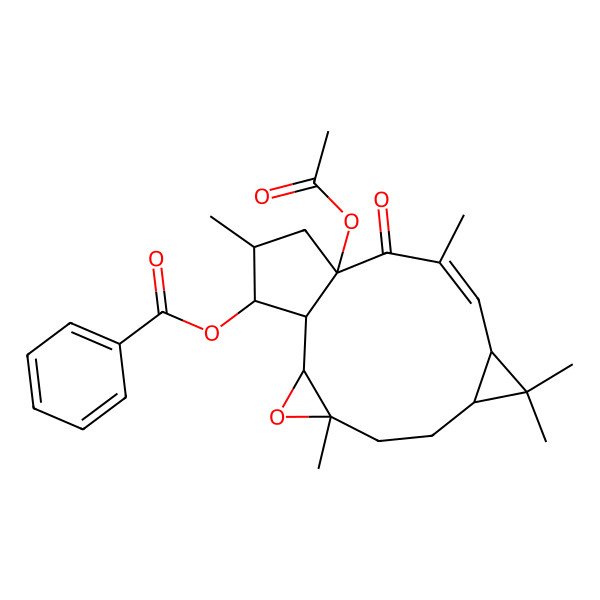 2D Structure of [(1R,2S,4S,7S,9R,10E,13R,15S,16S)-13-acetyloxy-4,8,8,11,15-pentamethyl-12-oxo-3-oxatetracyclo[11.3.0.02,4.07,9]hexadec-10-en-16-yl] benzoate