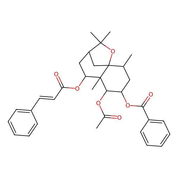 2D Structure of [(1S,2R,4S,5R,6R,7S,9R)-5-acetyloxy-2,6,10,10-tetramethyl-7-[(E)-3-phenylprop-2-enoyl]oxy-11-oxatricyclo[7.2.1.01,6]dodecan-4-yl] benzoate