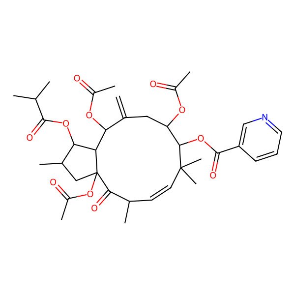 2D Structure of [(1S,2S,3aR,5S,6E,9S,10R,13R,13aR)-3a,10,13-triacetyloxy-2,5,8,8-tetramethyl-12-methylidene-1-(2-methylpropanoyloxy)-4-oxo-2,3,5,9,10,11,13,13a-octahydro-1H-cyclopenta[12]annulen-9-yl] pyridine-3-carboxylate
