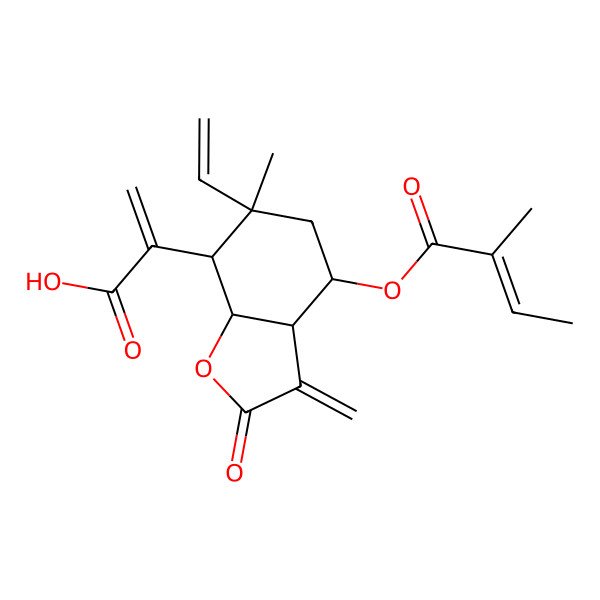 2D Structure of 2-[(3aR,4R,6S,7R,7aR)-6-ethenyl-6-methyl-4-[(Z)-2-methylbut-2-enoyl]oxy-3-methylidene-2-oxo-4,5,7,7a-tetrahydro-3aH-1-benzofuran-7-yl]prop-2-enoic acid