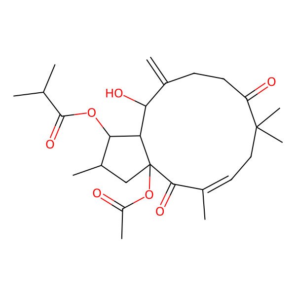 2D Structure of [(1S,2S,3aR,5E,13S,13aS)-3a-acetyloxy-13-hydroxy-2,5,8,8-tetramethyl-12-methylidene-4,9-dioxo-1,2,3,7,10,11,13,13a-octahydrocyclopenta[12]annulen-1-yl] 2-methylpropanoate