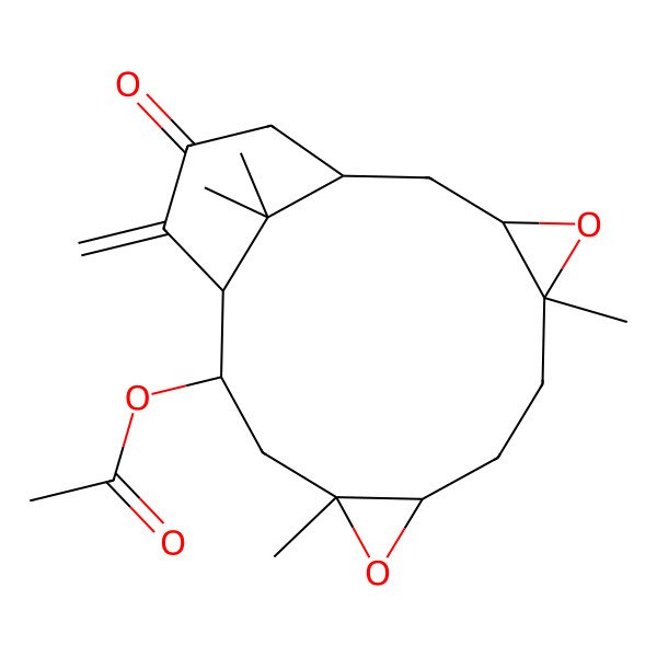 2D Structure of (5,10,17,17-Tetramethyl-14-methylidene-15-oxo-4,9-dioxatetracyclo[11.3.1.03,5.08,10]heptadecan-12-yl) acetate