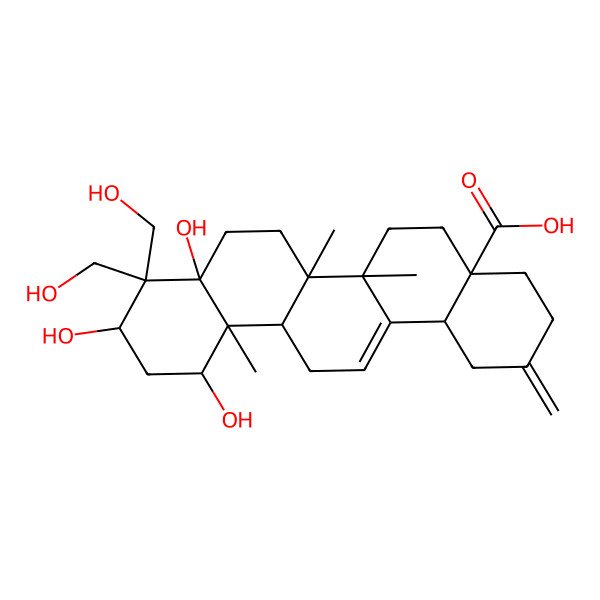 2D Structure of 8a,10,12-trihydroxy-9,9-bis(hydroxymethyl)-6a,6b,12a-trimethyl-2-methylidene-3,4,5,6,6a,7,8,10,11,12,13,14b-dodecahydro-1H-picene-4a-carboxylic acid 2D Structure of 8a,10,12-trihydroxy-9,9-bis(hydroxymethyl)-6a,6b,12a-trimethyl-2-methylidene-3,4,5,6,6a,7,8,10,11,12,13,14b-dodecahydro-1H-picene-4a-carboxylic acid