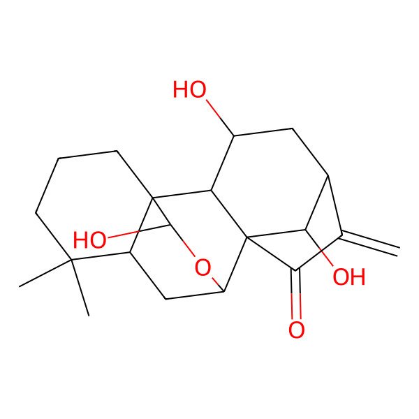 2D Structure of (1S,2S,3S,5S,8S,9S,11R,16S,18R)-3,16,18-trihydroxy-12,12-dimethyl-6-methylidene-17-oxapentacyclo[7.6.2.15,8.01,11.02,8]octadecan-7-one