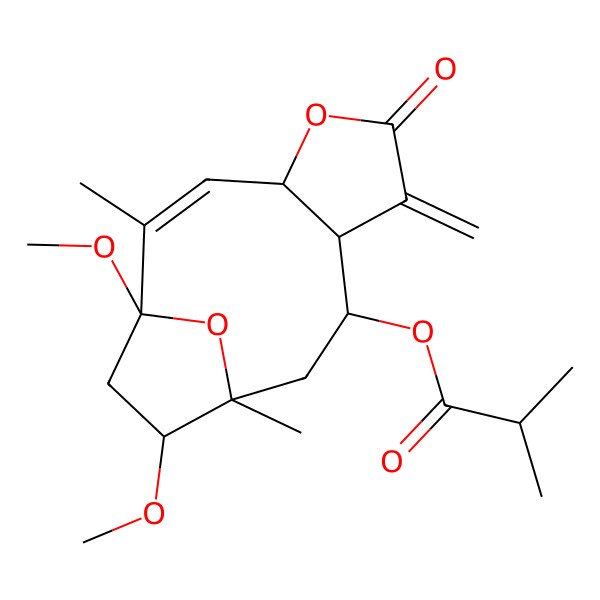 2D Structure of [(1R,2Z,4R,8R,9R,11S,12R)-1,12-dimethoxy-2,11-dimethyl-7-methylidene-6-oxo-5,14-dioxatricyclo[9.2.1.04,8]tetradec-2-en-9-yl] 2-methylpropanoate