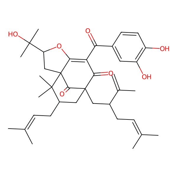 2D Structure of (1S,3S,8S,10S)-6-(3,4-dihydroxybenzoyl)-3-(2-hydroxypropan-2-yl)-11,11-dimethyl-10-(3-methylbut-2-enyl)-8-[(2S)-5-methyl-2-prop-1-en-2-ylhex-4-enyl]-4-oxatricyclo[6.3.1.01,5]dodec-5-ene-7,12-dione