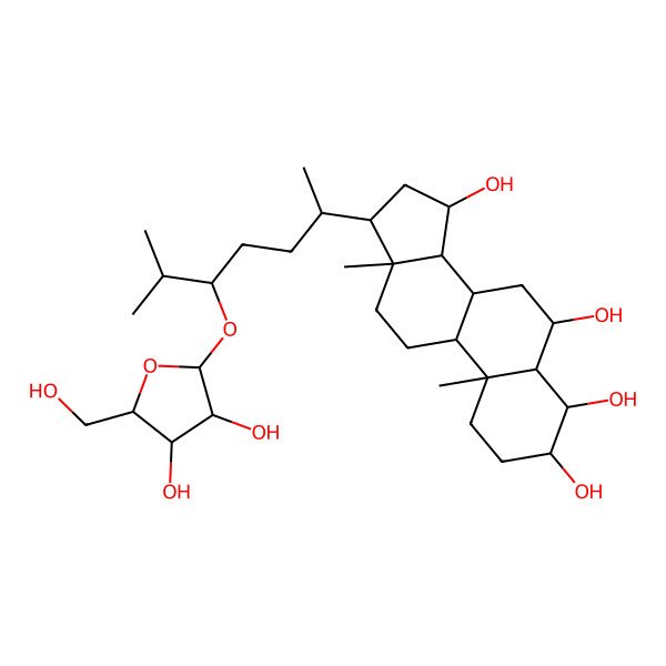 2D Structure of 17-[5-[3,4-dihydroxy-5-(hydroxymethyl)oxolan-2-yl]oxy-6-methylheptan-2-yl]-10,13-dimethyl-2,3,4,5,6,7,8,9,11,12,14,15,16,17-tetradecahydro-1H-cyclopenta[a]phenanthrene-3,4,6,15-tetrol