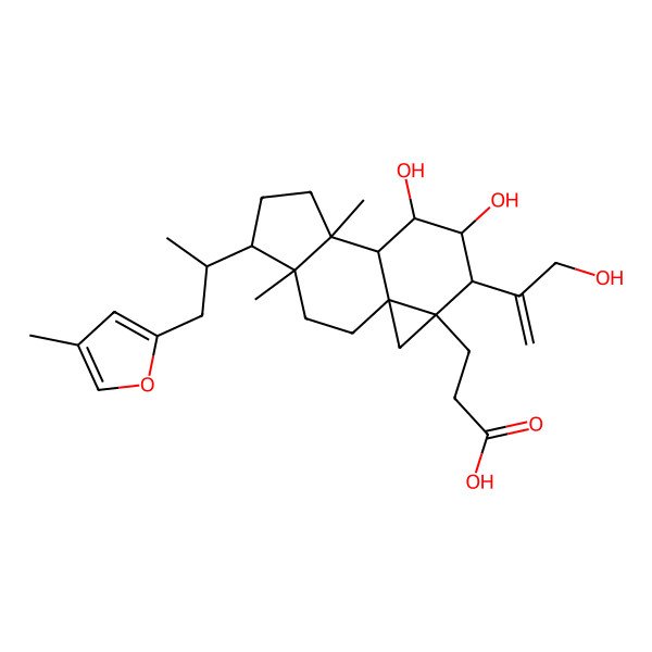 2D Structure of 3-[10,11-Dihydroxy-12-(3-hydroxyprop-1-en-2-yl)-4,8-dimethyl-5-[1-(4-methylfuran-2-yl)propan-2-yl]-13-tetracyclo[7.5.0.01,13.04,8]tetradecanyl]propanoic acid