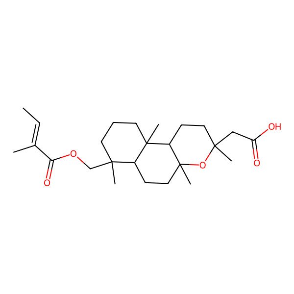 2D Structure of 2-[(3S,4aS,6aS,7S,10aR,10bS)-3,4a,7,10a-tetramethyl-7-[[(Z)-2-methylbut-2-enoyl]oxymethyl]-2,5,6,6a,8,9,10,10b-octahydro-1H-benzo[f]chromen-3-yl]acetic acid