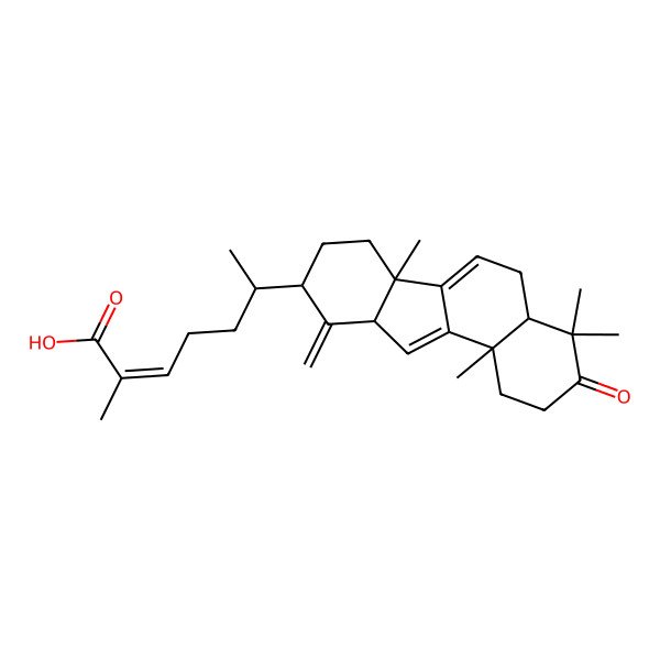 2D Structure of 6-(4,4,6b,11b-Tetramethyl-10-methylidene-3-oxo-1,2,4a,5,7,8,9,10a-octahydrobenzo[a]fluoren-9-yl)-2-methylhept-2-enoic acid