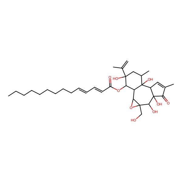 2D Structure of [(1S,2S,4R,5S,6S,10S,11R,12R,14R,15R)-5,6,11,14-tetrahydroxy-4-(hydroxymethyl)-8,12-dimethyl-7-oxo-14-prop-1-en-2-yl-3-oxatetracyclo[9.4.0.02,4.06,10]pentadec-8-en-15-yl] (2E,4E)-tetradeca-2,4-dienoate