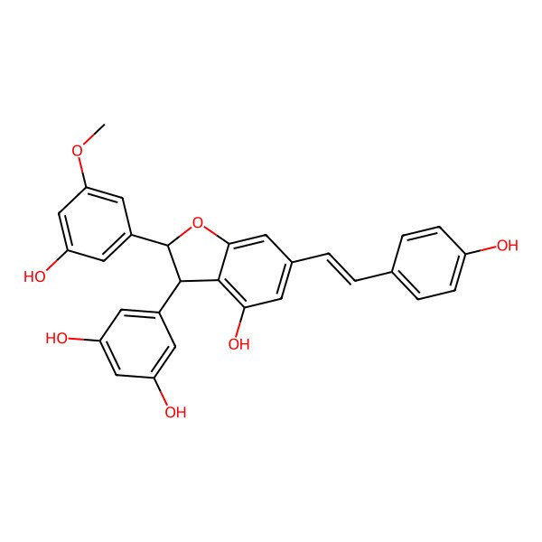 2D Structure of 5-[4-Hydroxy-2-(3-hydroxy-5-methoxyphenyl)-6-[2-(4-hydroxyphenyl)ethenyl]-2,3-dihydro-1-benzofuran-3-yl]benzene-1,3-diol
