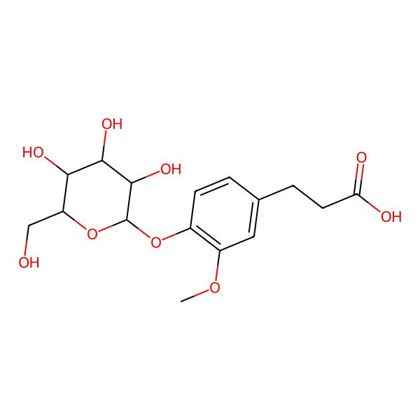 2D Structure of 3-[3-methoxy-4-[(2S,3R,4S,5S,6R)-3,4,5-trihydroxy-6-(hydroxymethyl)oxan-2-yl]oxyphenyl]propanoic acid
