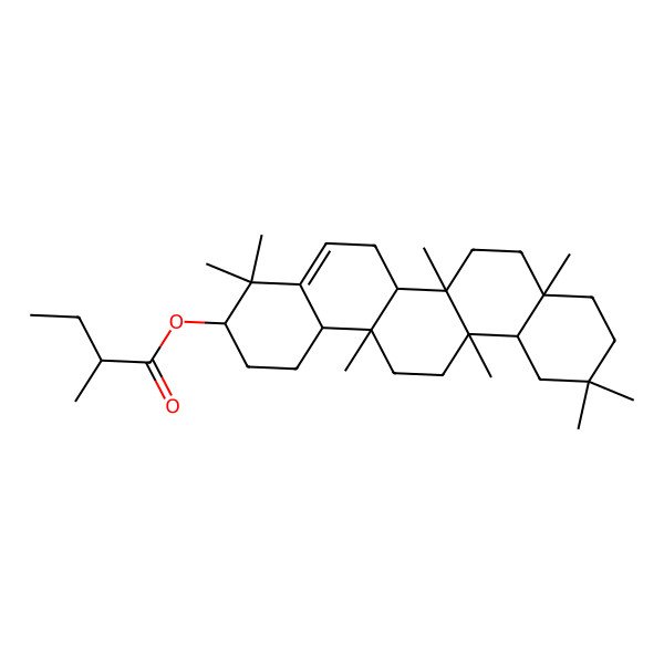 2D Structure of (4,4,6a,6b,8a,11,11,14a-Octamethyl-1,2,3,6,6a,7,8,9,10,12,12a,13,14,14b-tetradecahydropicen-3-yl) 2-methylbutanoate