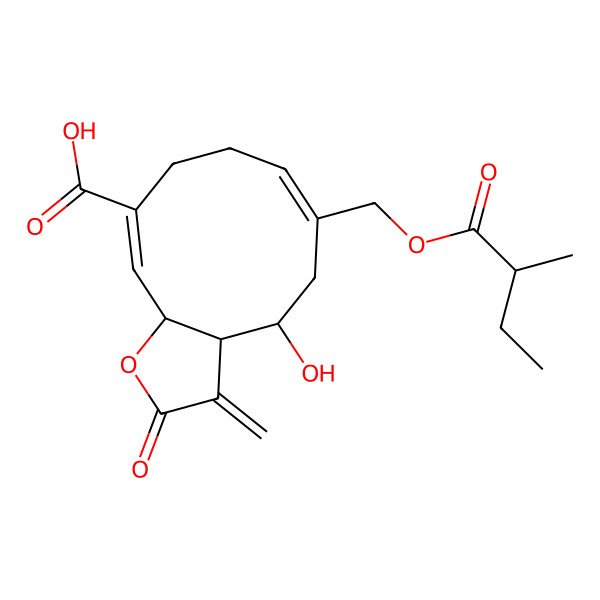 2D Structure of (3aR,4R,6Z,10Z,11aR)-4-hydroxy-6-[[(2R)-2-methylbutanoyl]oxymethyl]-3-methylidene-2-oxo-3a,4,5,8,9,11a-hexahydrocyclodeca[b]furan-10-carboxylic acid
