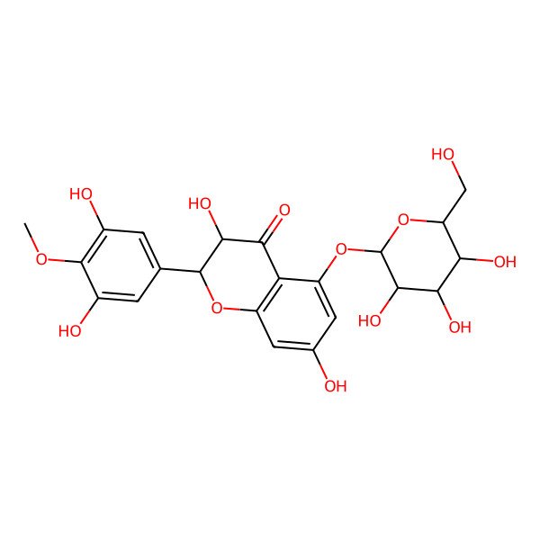 2D Structure of (2R,3S)-2-(3,5-dihydroxy-4-methoxyphenyl)-3,7-dihydroxy-5-[(2S,3R,4S,5S,6R)-3,4,5-trihydroxy-6-(hydroxymethyl)oxan-2-yl]oxy-2,3-dihydrochromen-4-one