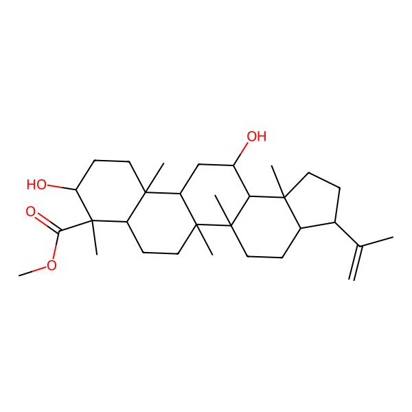 2D Structure of Methyl 9,13-dihydroxy-5a,5b,8,11a,13b-pentamethyl-3-prop-1-en-2-yl-1,2,3,3a,4,5,6,7,7a,9,10,11,11b,12,13,13a-hexadecahydrocyclopenta[a]chrysene-8-carboxylate