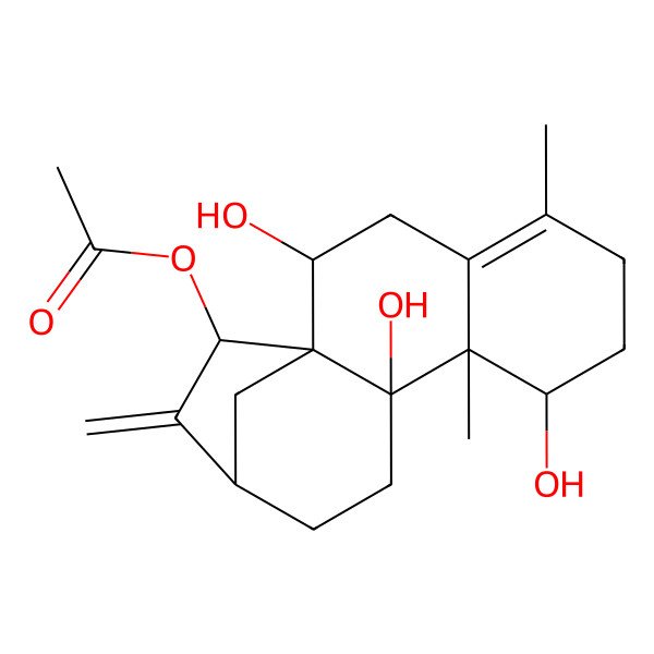 2D Structure of [(1R,2S,8R,9S,10R,13R,15R)-2,8,10-trihydroxy-5,9-dimethyl-14-methylidene-15-tetracyclo[11.2.1.01,10.04,9]hexadec-4-enyl] acetate
