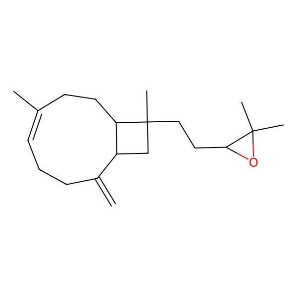 2D Structure of (3R)-3-[2-[(1S,5E,9R,10R)-6,10-dimethyl-2-methylidene-10-bicyclo[7.2.0]undec-5-enyl]ethyl]-2,2-dimethyloxirane
