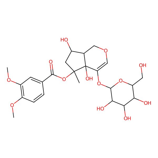 2D Structure of [(4aS,5S,7R,7aR)-4a,7-dihydroxy-5-methyl-4-[(2R,3S,4R,5S,6S)-3,4,5-trihydroxy-6-(hydroxymethyl)oxan-2-yl]oxy-1,6,7,7a-tetrahydrocyclopenta[c]pyran-5-yl] 3,4-dimethoxybenzoate