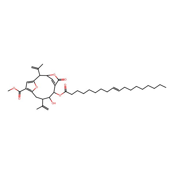 2D Structure of Methyl 8-hydroxy-7-octadec-9-enoyloxy-5-oxo-2,9-bis(prop-1-en-2-yl)-4,14-dioxatricyclo[9.2.1.13,6]pentadeca-1(13),6(15),11-triene-12-carboxylate