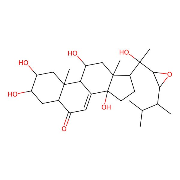 2D Structure of (2S,3R,5R,9R,10R,11R,13R,14S,17S)-2,3,11,14-tetrahydroxy-17-[(1R)-1-hydroxy-1-[(2R,3R)-3-(3-methylbutan-2-yl)oxiran-2-yl]ethyl]-10,13-dimethyl-2,3,4,5,9,11,12,15,16,17-decahydro-1H-cyclopenta[a]phenanthren-6-one