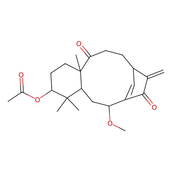 2D Structure of [(2R,4R,6S,9R,13R)-2-methoxy-5,5,9-trimethyl-14-methylidene-10,15-dioxo-6-tricyclo[11.2.1.04,9]hexadec-1(16)-enyl] acetate