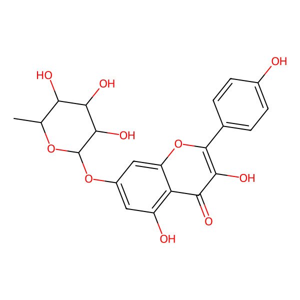2D Structure of 3,5-dihydroxy-2-(4-hydroxyphenyl)-7-[(2R,3R,4R,5R,6S)-3,4,5-trihydroxy-6-methyloxan-2-yl]oxychromen-4-one