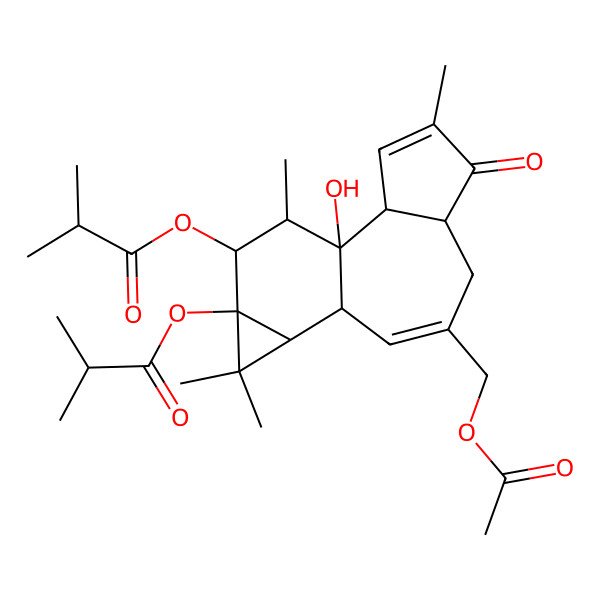 2D Structure of [(1R,2R,6S,10S,11R,13S,14R,15R)-8-(acetyloxymethyl)-1-hydroxy-4,12,12,15-tetramethyl-13-(2-methylpropanoyloxy)-5-oxo-14-tetracyclo[8.5.0.02,6.011,13]pentadeca-3,8-dienyl] 2-methylpropanoate