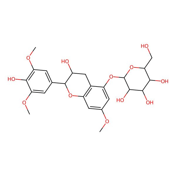 2D Structure of 2-[[3-hydroxy-2-(4-hydroxy-3,5-dimethoxyphenyl)-7-methoxy-3,4-dihydro-2H-chromen-5-yl]oxy]-6-(hydroxymethyl)oxane-3,4,5-triol