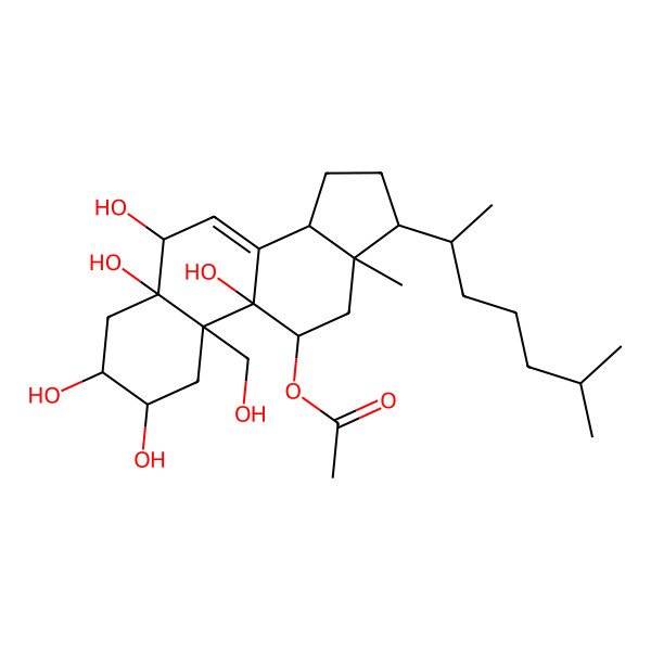 2D Structure of [(2R,3R,5R,6R,9R,10R,11R,13R,14R,17R)-2,3,5,6,9-pentahydroxy-10-(hydroxymethyl)-13-methyl-17-[(2R)-6-methylheptan-2-yl]-2,3,4,6,11,12,14,15,16,17-decahydro-1H-cyclopenta[a]phenanthren-11-yl] acetate