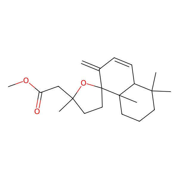 2D Structure of methyl 2-[(2'S,4aR,8R,8aS)-2',4,4,8a-tetramethyl-7-methylidenespiro[1,2,3,4a-tetrahydronaphthalene-8,5'-oxolane]-2'-yl]acetate