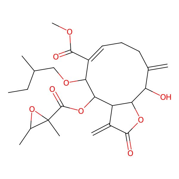 2D Structure of methyl 4-(2,3-dimethyloxirane-2-carbonyl)oxy-11-hydroxy-5-(2-methylbutoxy)-3,10-dimethylidene-2-oxo-4,5,8,9,11,11a-hexahydro-3aH-cyclodeca[b]furan-6-carboxylate
