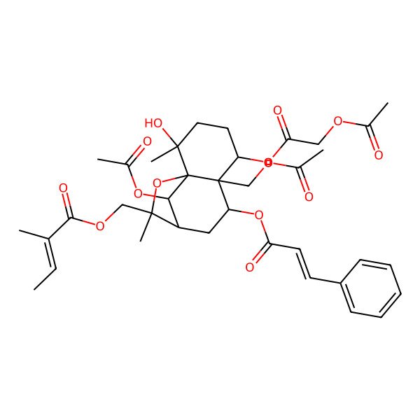 2D Structure of [(1S,2S,5S,6S,7S,9R,12R)-12-acetyloxy-5-(2-acetyloxyacetyl)oxy-6-(acetyloxymethyl)-2-hydroxy-2,10-dimethyl-7-[(E)-3-phenylprop-2-enoyl]oxy-11-oxatricyclo[7.2.1.01,6]dodecan-10-yl]methyl (E)-2-methylbut-2-enoate