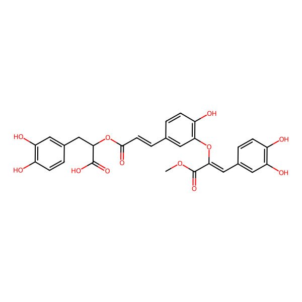2D Structure of 3-(3,4-Dihydroxyphenyl)-2-[3-[3-[1-(3,4-dihydroxyphenyl)-3-methoxy-3-oxoprop-1-en-2-yl]oxy-4-hydroxyphenyl]prop-2-enoyloxy]propanoic acid