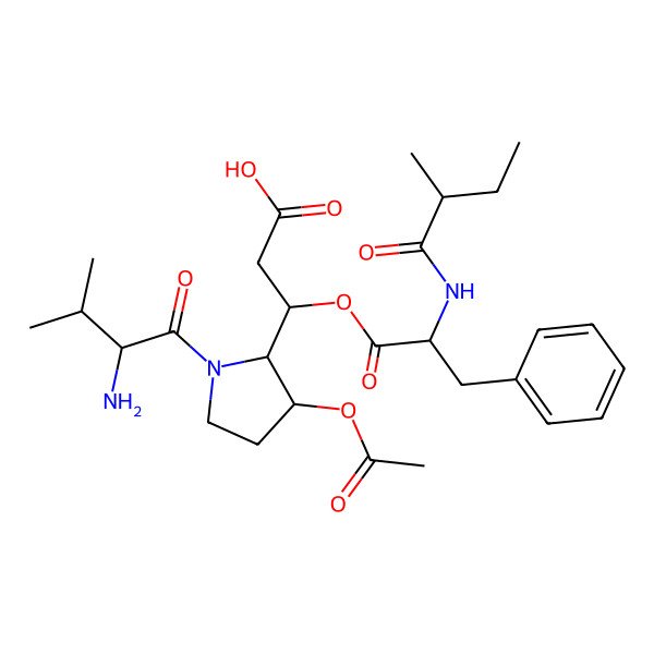 2D Structure of (3S)-3-[(3R)-3-acetyloxy-1-[(2S)-2-amino-3-methylbutanoyl]pyrrolidin-2-yl]-3-[2-[[(2S)-2-methylbutanoyl]amino]-3-phenylpropanoyl]oxypropanoic acid