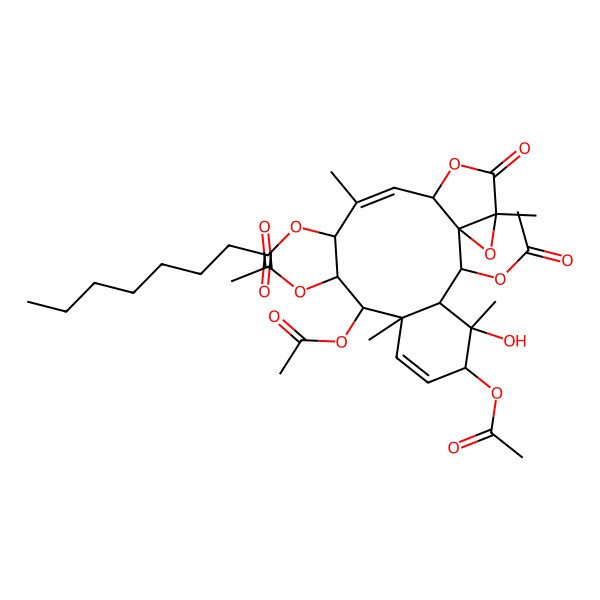 2D Structure of [(1S,2S,3S,4S,5R,8R,9R,10R,11S,12Z,14S,17R)-2,5,9,10-tetraacetyloxy-4-hydroxy-4,8,12,17-tetramethyl-16-oxo-15,18-dioxatetracyclo[12.4.0.01,17.03,8]octadeca-6,12-dien-11-yl] octanoate