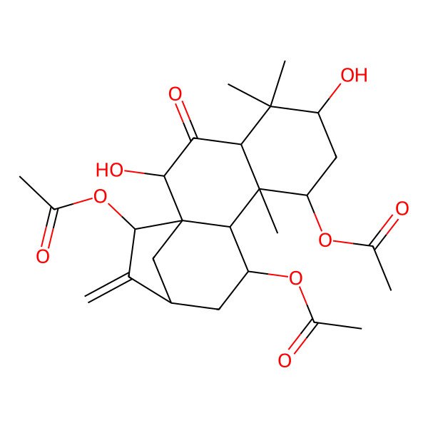 2D Structure of (8,15-Diacetyloxy-2,6-dihydroxy-5,5,9-trimethyl-14-methylidene-3-oxo-11-tetracyclo[11.2.1.01,10.04,9]hexadecanyl) acetate